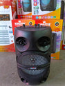 STA Speaker Kingster KST-7829 Portable Wireless w/ Remote & Mic