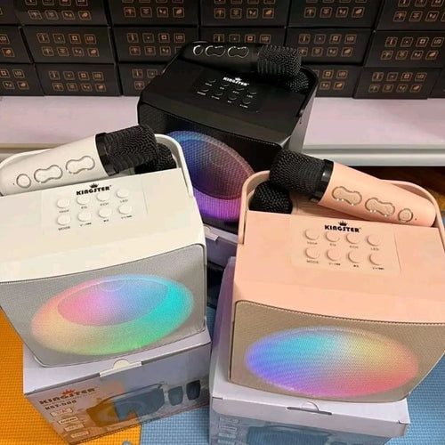 STA Speaker Kingster KST 508